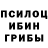 Галлюциногенные грибы Psilocybine cubensis TYP