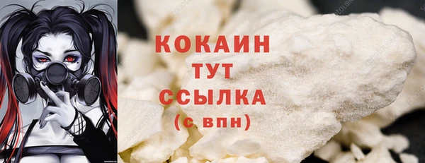 мдпв Вязьма