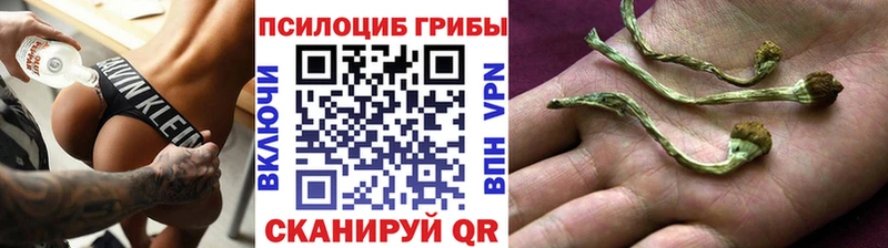 мориарти как зайти  как найти   Люберцы  Псилоцибиновые грибы ЛСД  OMG онион 